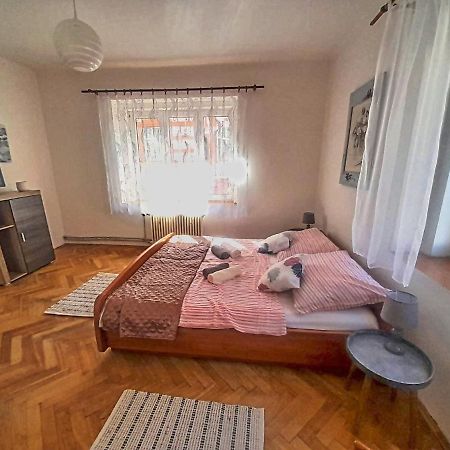 Apartman Isabel Дечин Екстер'єр фото